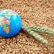 Global Food Security on The Edge as Russia Exits Grain Deal
