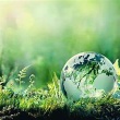 Igniting Change: World Earth Day 2024 – Uniting for a Sustainable Future